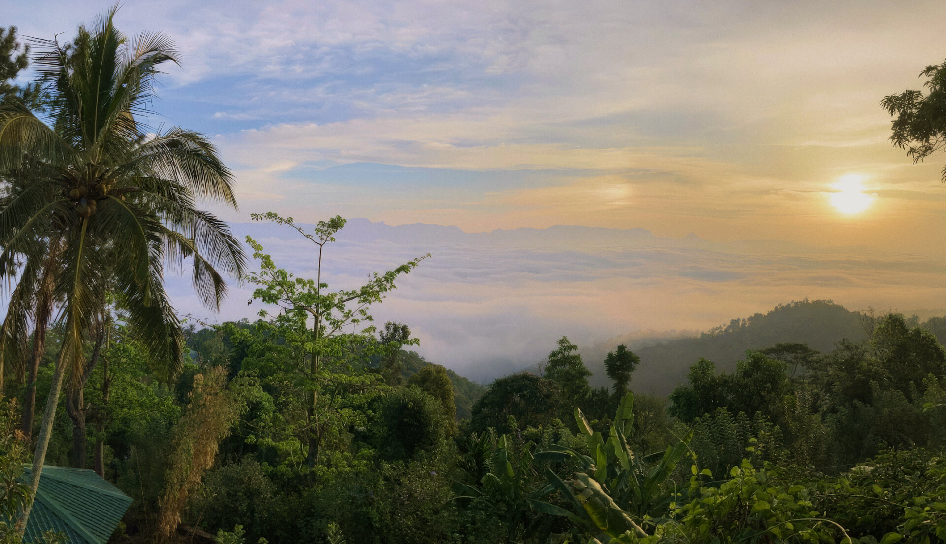 Čeká na vás oáza dlouhověkosti Yasmin Hill